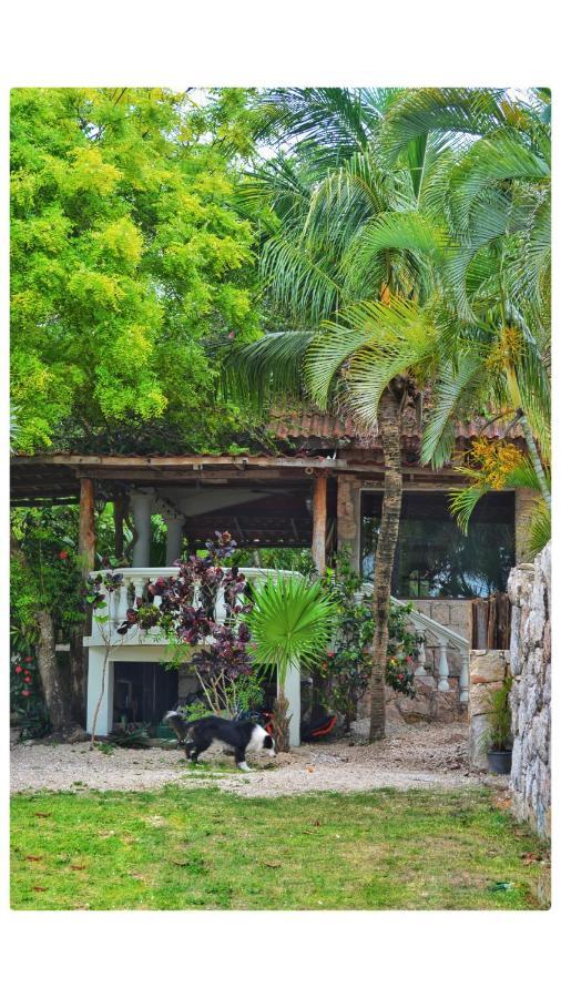 Tortuga Bacalar Bed & Breakfast Luaran gambar