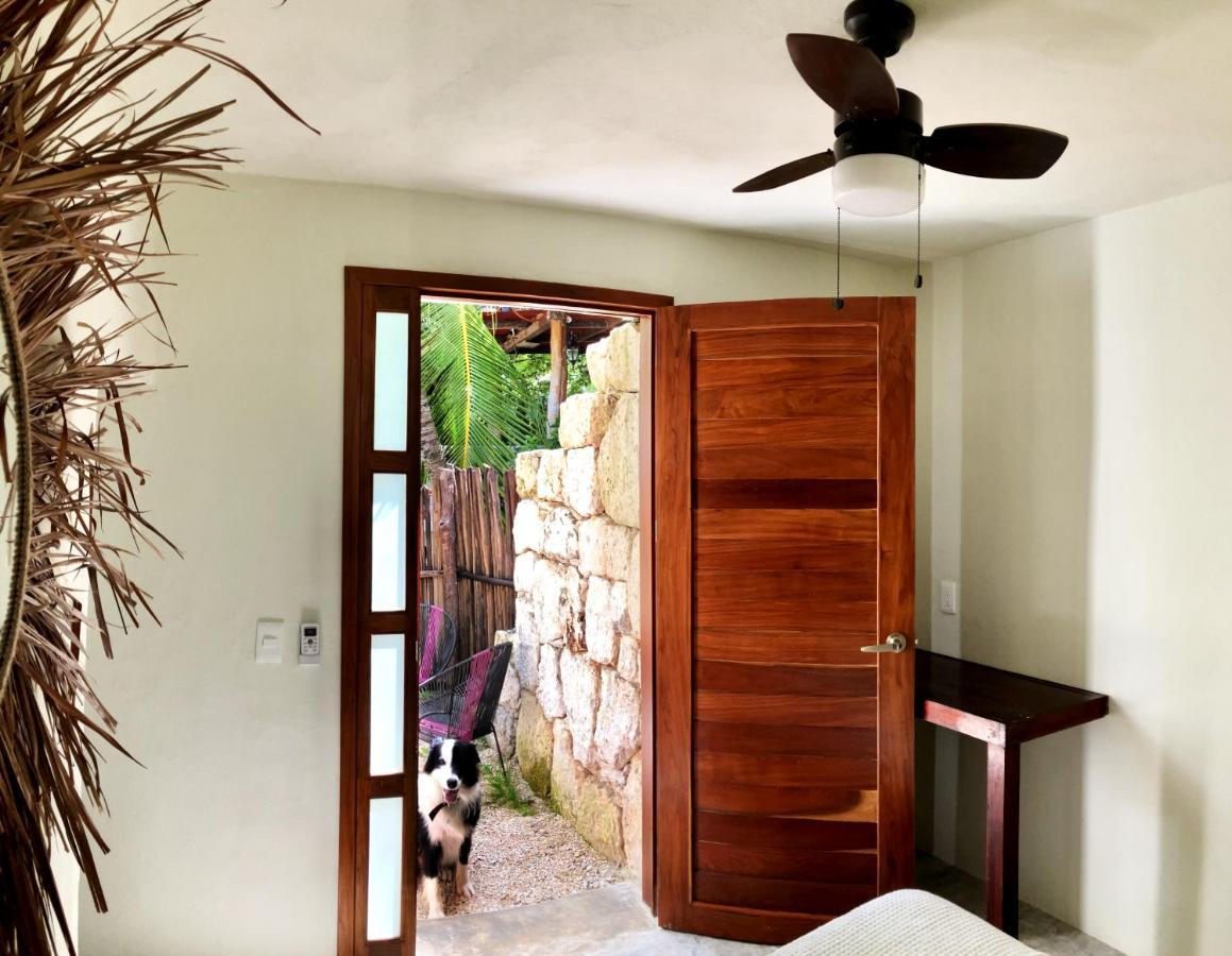 Tortuga Bacalar Bed & Breakfast Luaran gambar