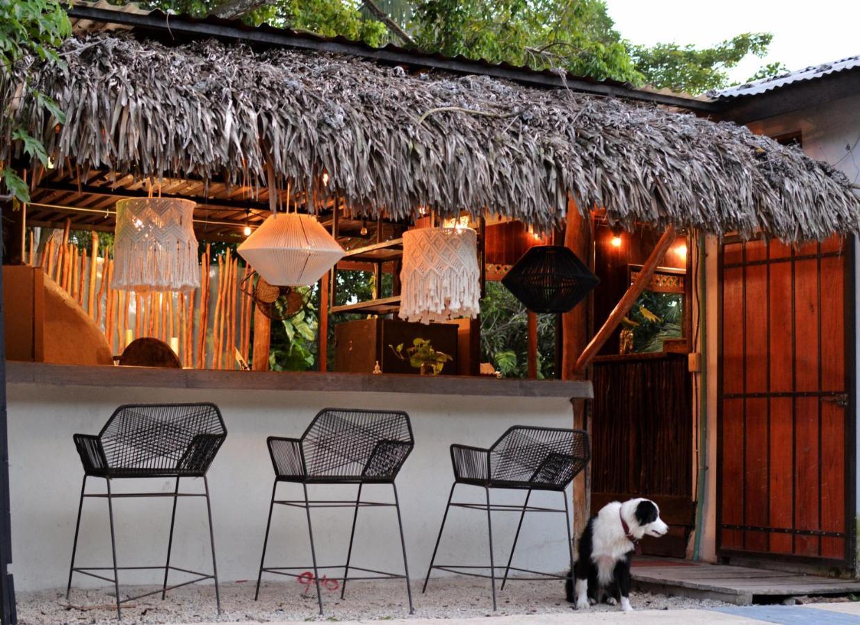 Tortuga Bacalar Bed & Breakfast Luaran gambar