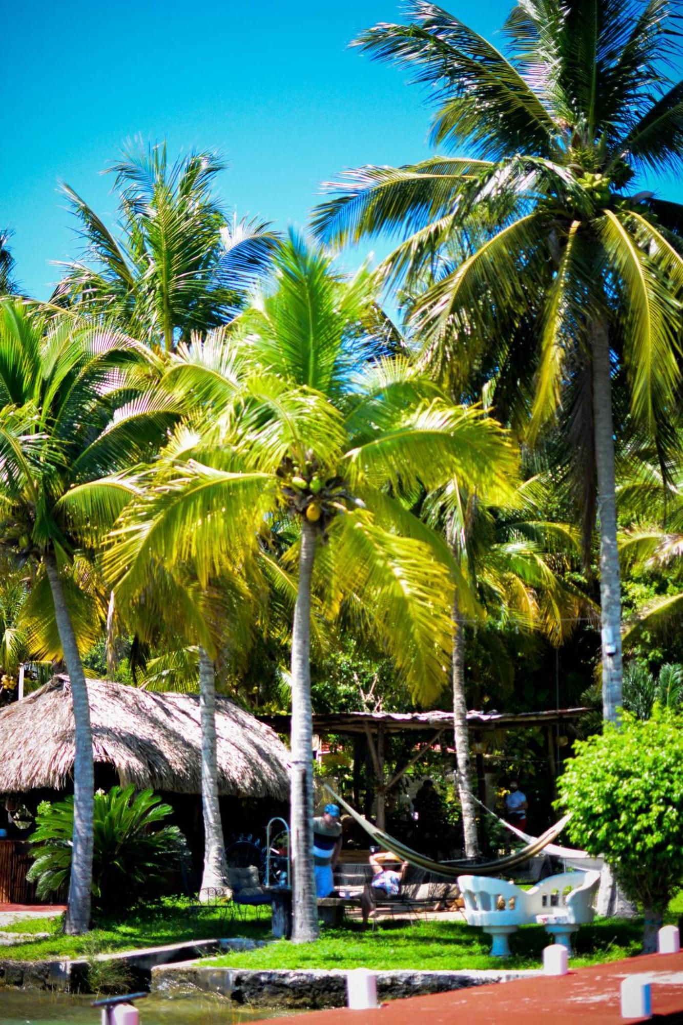 Tortuga Bacalar Bed & Breakfast Luaran gambar